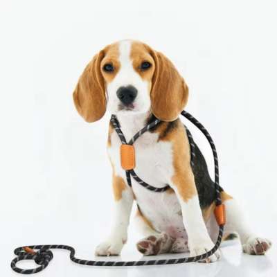 Wholesale Adjustable Pet Rope Lead Reflective Nylon Dog Leash And Harness